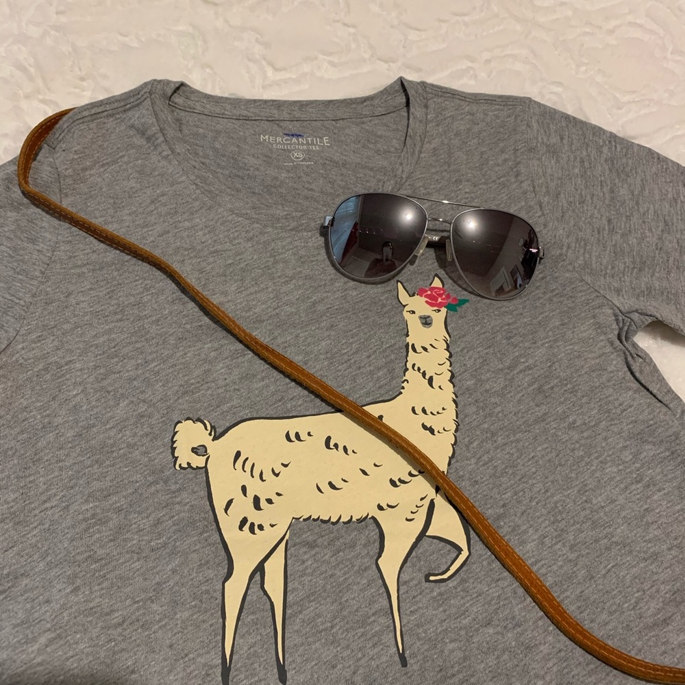 J. Crew Mercantile Llama Collector Tee Size XS, 3X - Picture 10 of 11